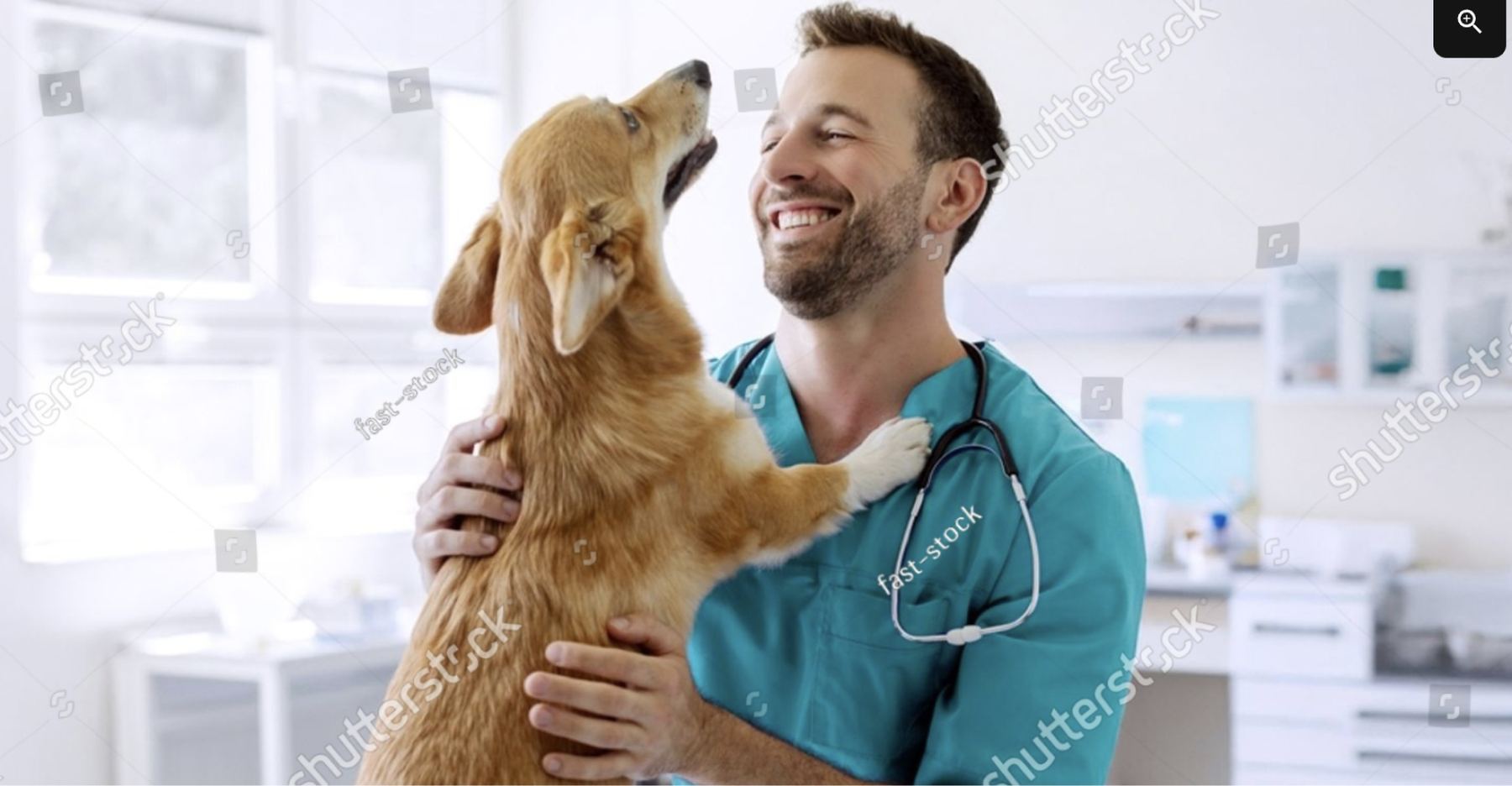 A smiling vet in teal scrubs holding up a golden puppy