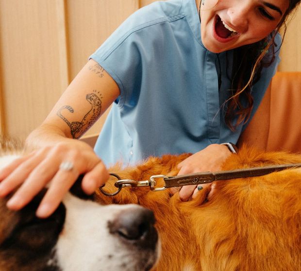 A laughing vet nurse stroking a long-haired dog on a lead