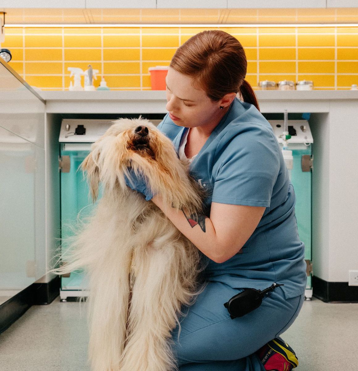 A vet nurse hugging a fluffy dog in the clinic