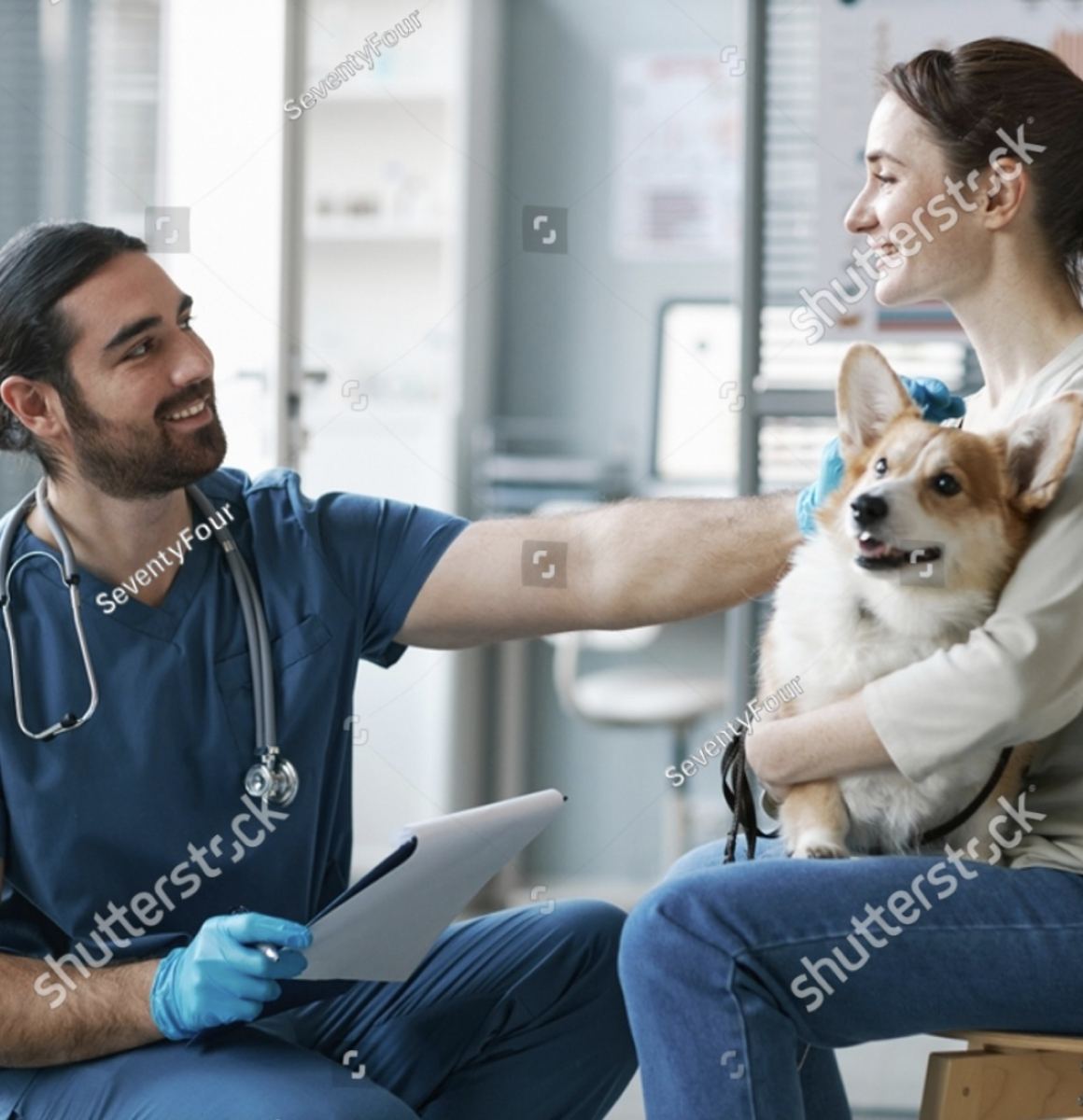A vet talking with an owner holding a corgi