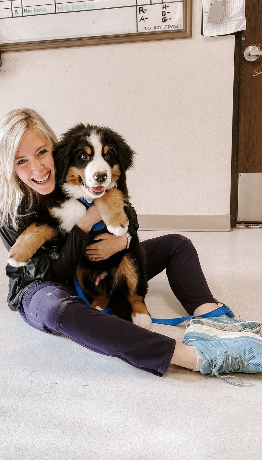 A woman sitting on the floor with a Bernese mountain dog puppy
